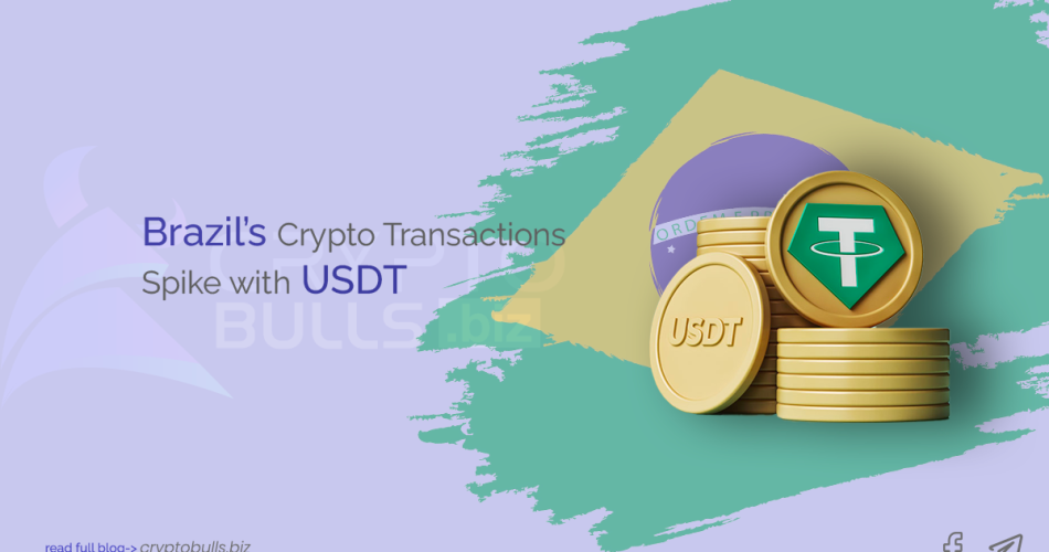 Brazil's Crypto Transactions Spike with USDT