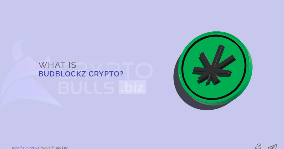 What is Budblockz Crypto ?