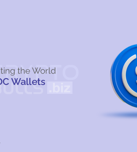 Navigating the World of USDC Wallets