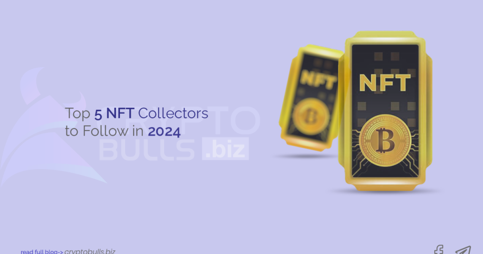 nft collector