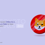 shibu inu