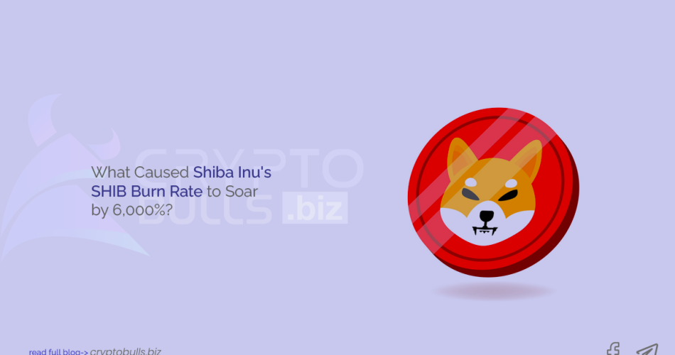 What Caused Shiba Inu’s SHIB Burn Rate to Soar by 6,000%?